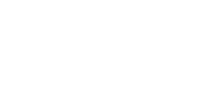 DCS Logo White